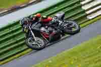 Middle Group Black Bikes